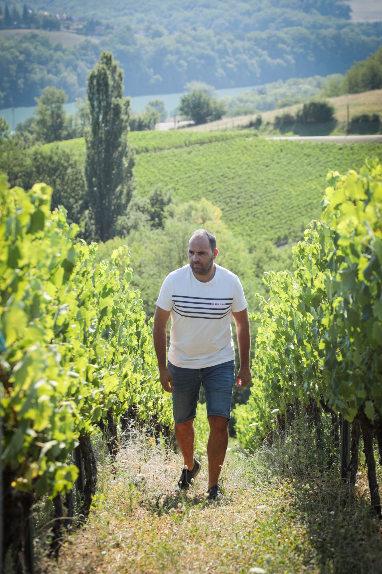 Loïc Bernard - vin
