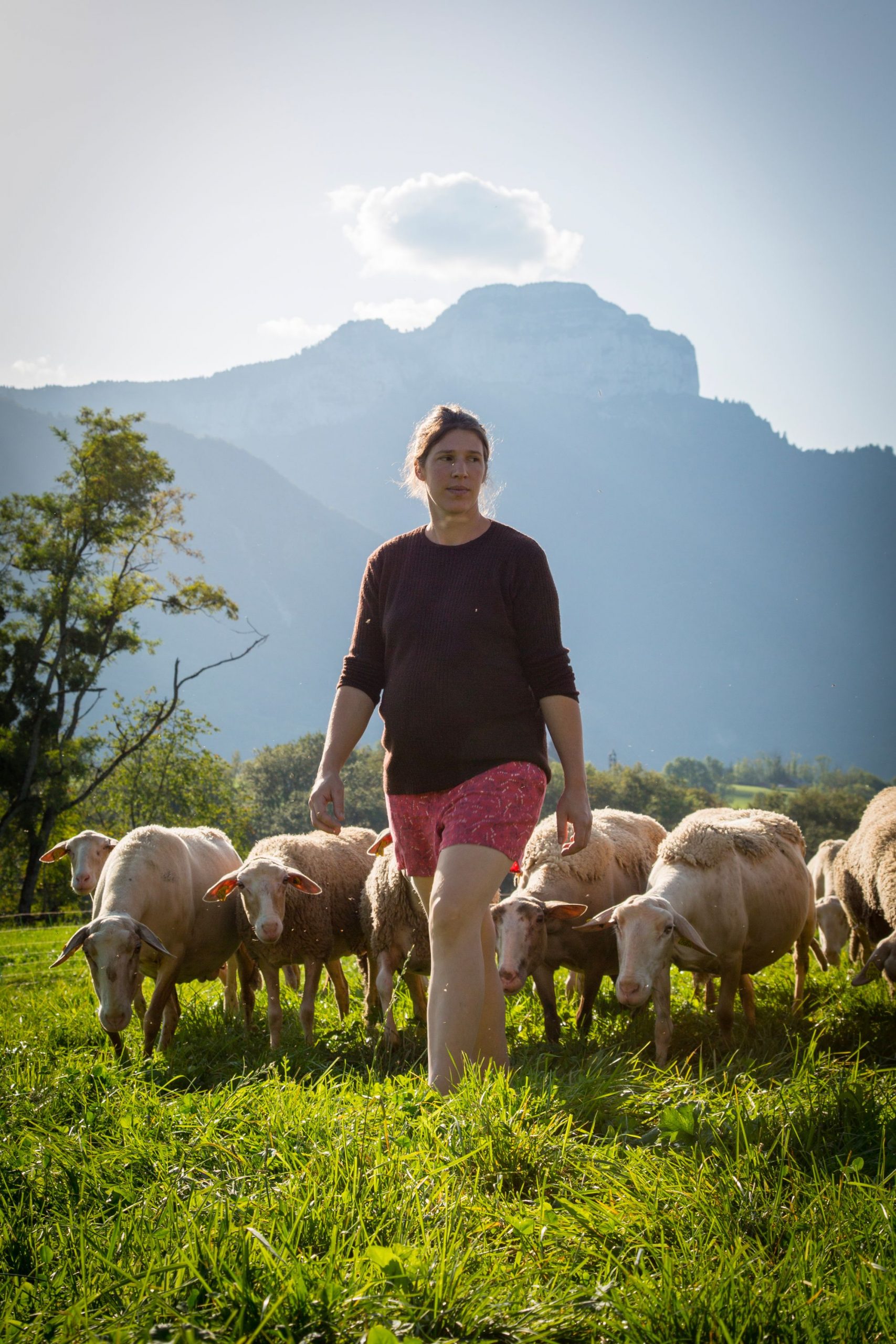Camille Laffin - GAEC Poil & Laine - Fromages de brebis et vaches