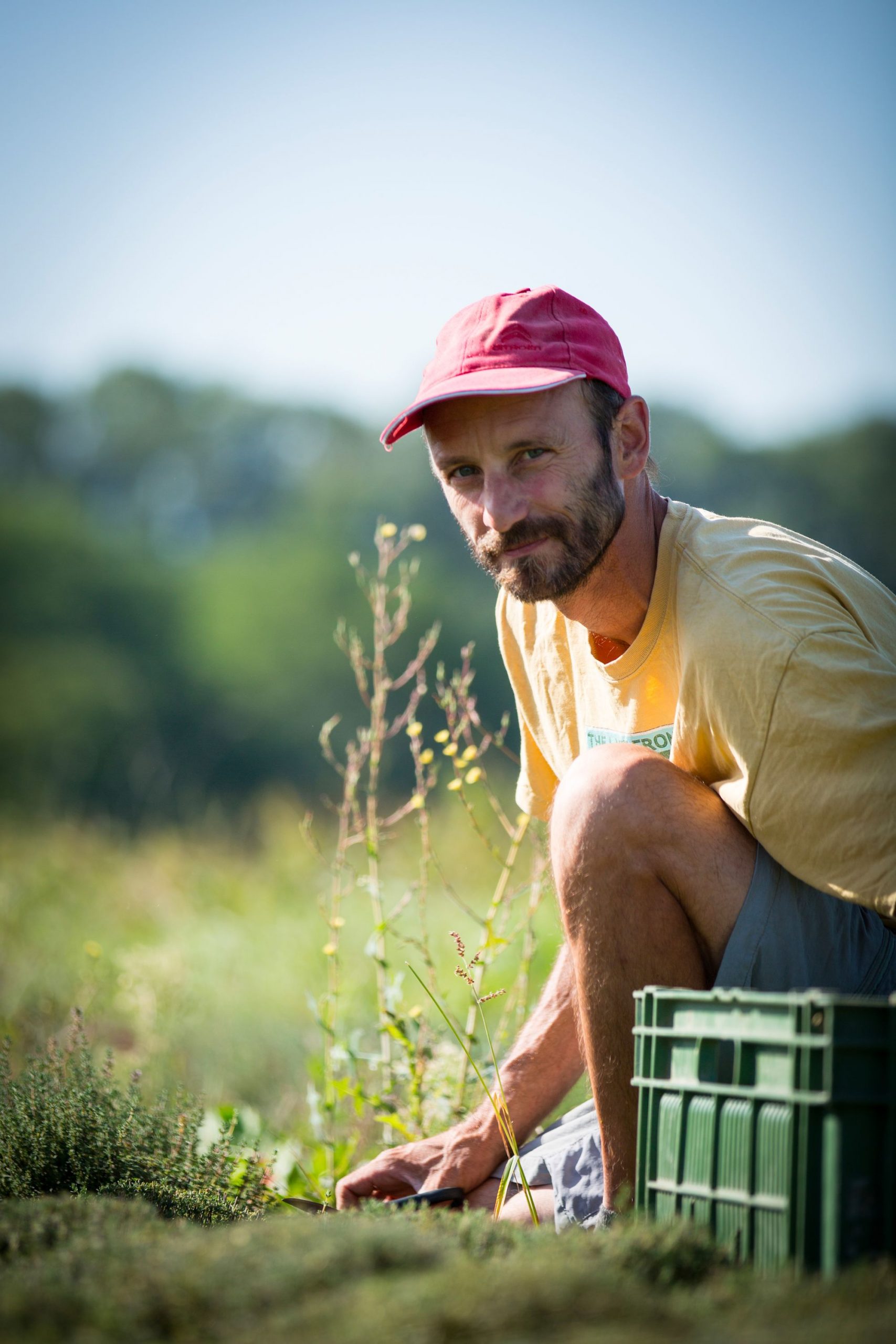 Jerôme Dethes - Plantes aromatiques